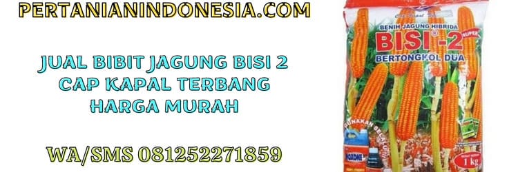 jual,pertanian indonesia,murah,bisi 2 cap kapal terbang,zea mays